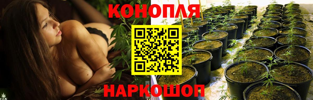 Богородицк  Бошки Шишки план  Вход с VPN  МАРИХУАНА SATIVA & INDICA 